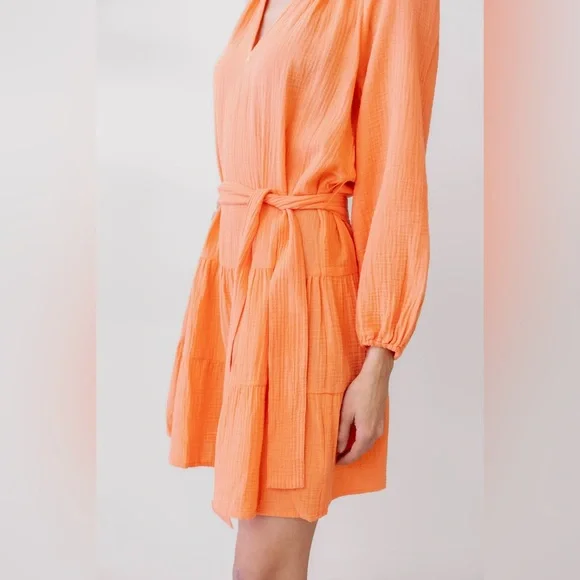 RAILS | $228 AURETA MINI DRESS - Picture 2 of 3